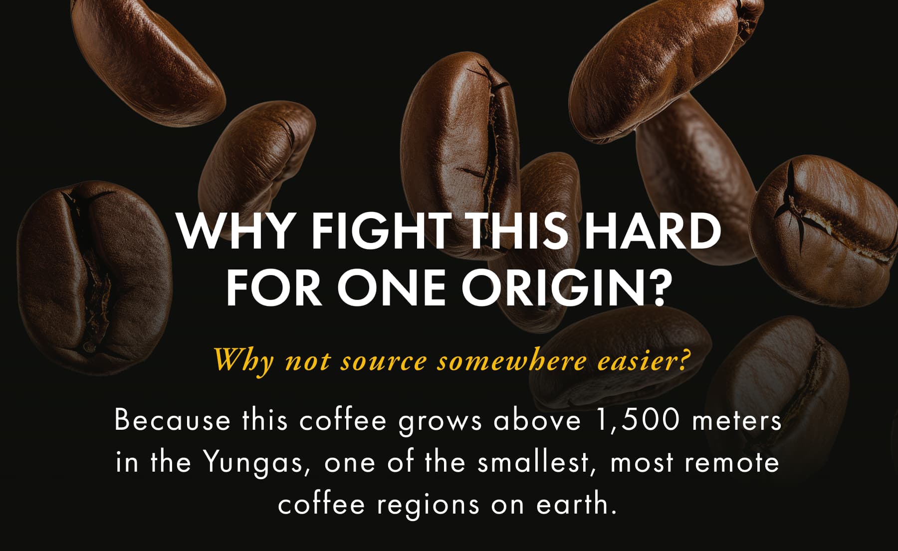 Why Fight This Hard For One Origin? Because this coffee grows above 1,500 meters in the Yungas, one of the smallest, most remote coffee regions on earth. 